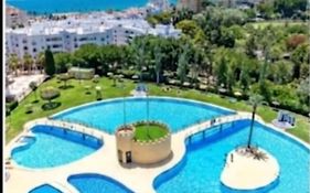 Minerva Holiday